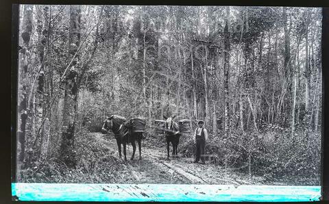 Open original Documentos