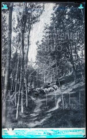 Open original Documentos