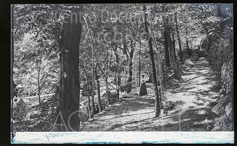 Open original Documentos