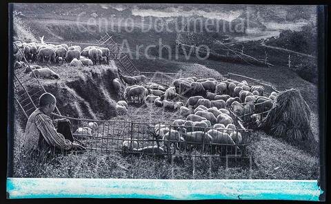 Open original Documentos