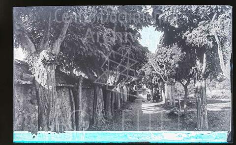 Open original Documentos