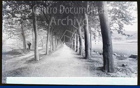 Open original Documentos