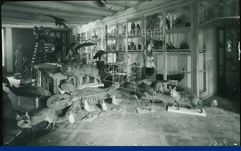 Open original Documentos