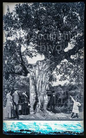 Open original Documentos